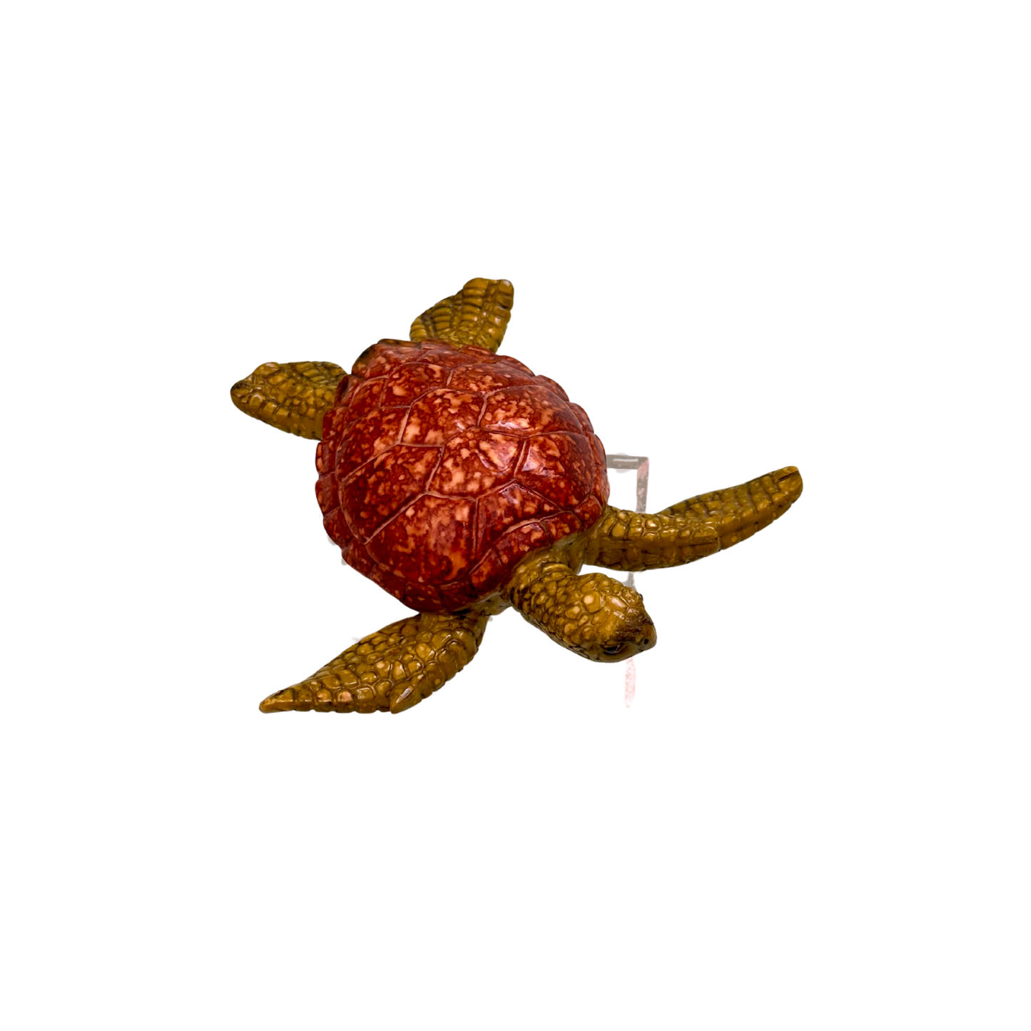 Caretta Caretta Dekor