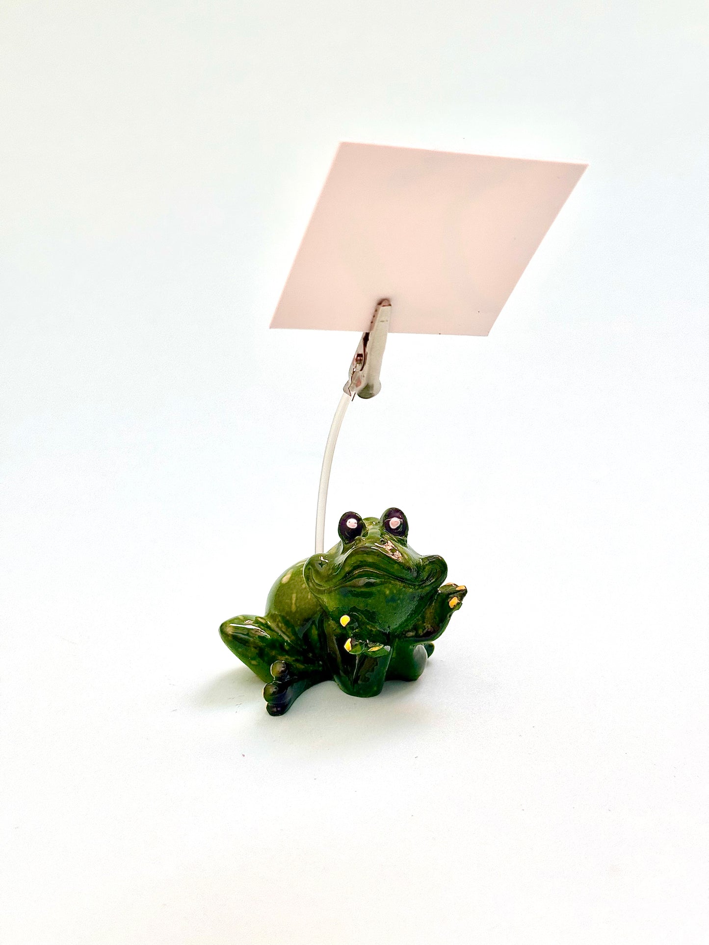 Kurbağa Not tutucu