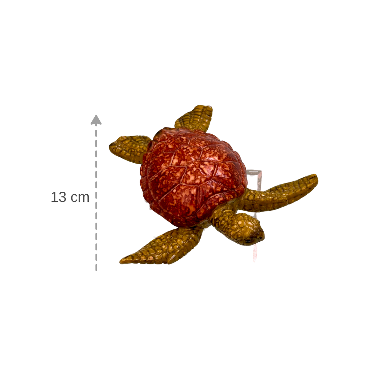 Caretta Caretta Dekor