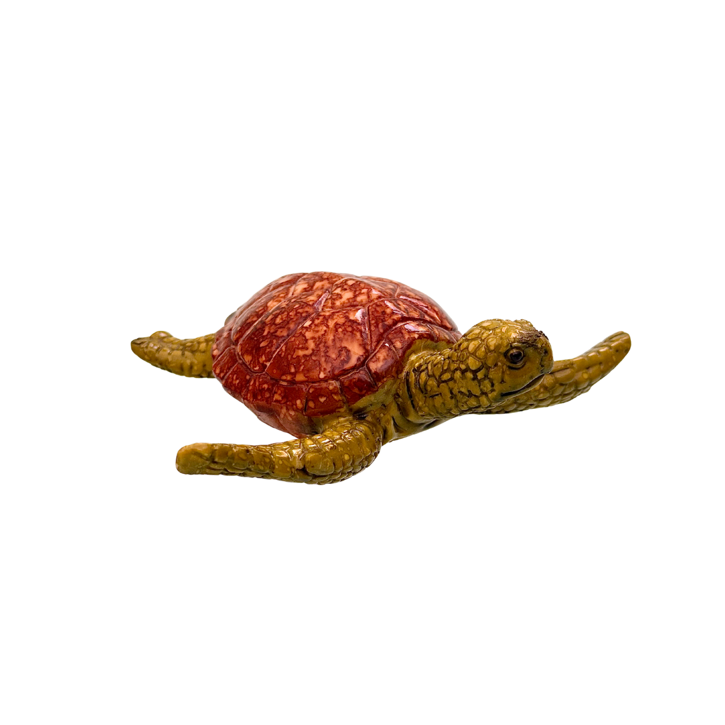Caretta Caretta Dekor
