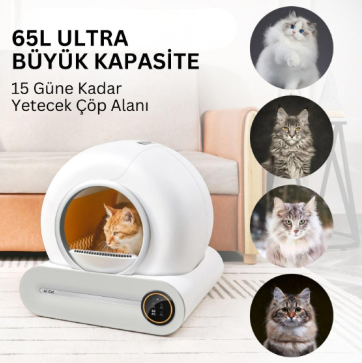 Akıllı Otomatik Kedi Tuvaleti