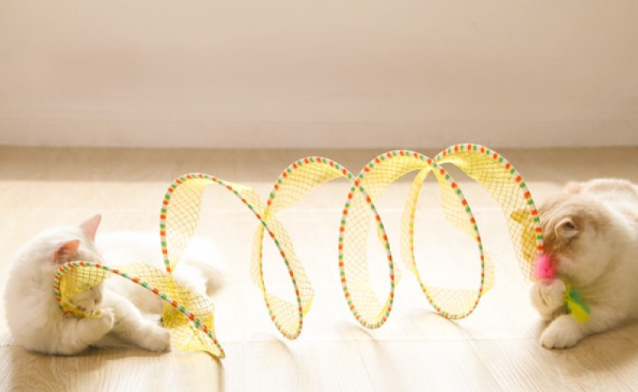 Katlanabilir Kedi Tüneli