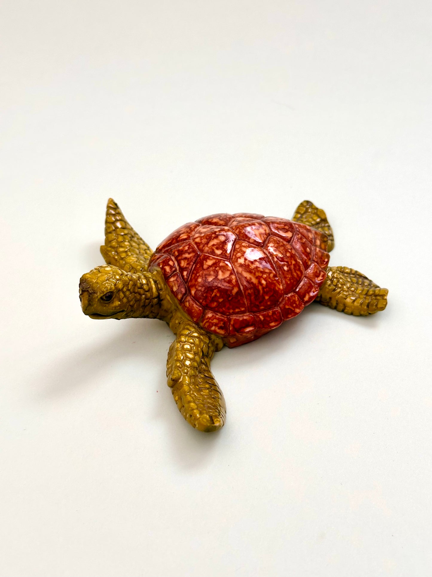 Caretta Caretta Dekor